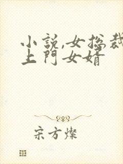 小说,女总裁的上门女婿