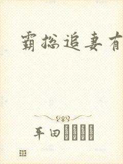 霸总追妻有点甜