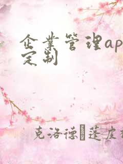 企业管理app定制