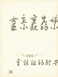 女主重生嫁给权臣小叔的小说