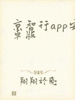 京智行app安卓版