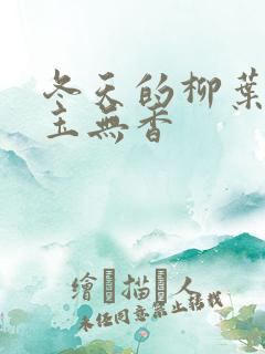 冬天的柳叶新书玉无香