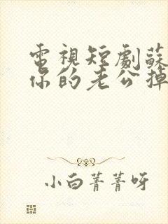 电视短剧苏小姐你的老公掉了