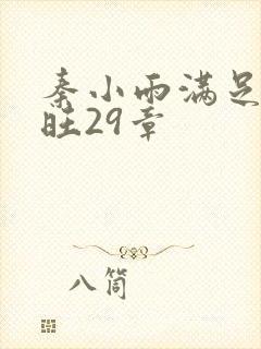 秦小雨满足了老旺29章