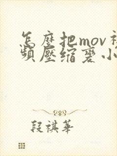 怎么把mov视频压缩变小