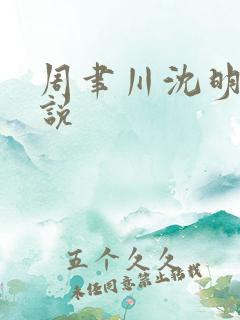 周聿川沈明棠小说