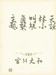 主角叫林天的穿越系统小说