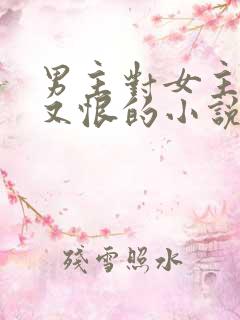 男主对女主又爱又恨的小说