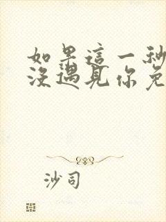 如果这一秒,我没遇见你免费版