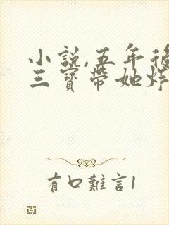 小说,五年后,三宝带她炸了大佬集团