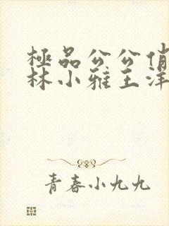 极品公公俏儿媳林小雅王洋免费阅读