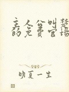 主人公叫楚东恒的免费官场小说