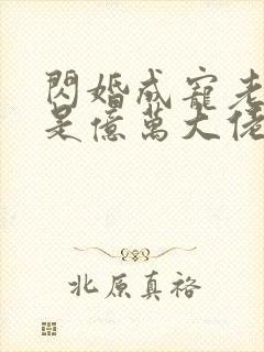 闪婚成宠老公竟是亿万大佬