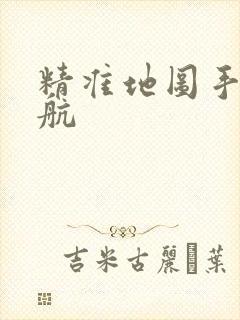 精准地图手机导航