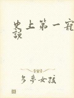 史上第一宠婚小说