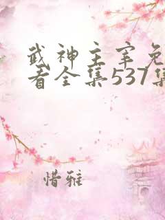 武神主宰免费观看全集537集