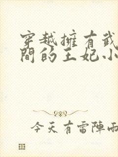 穿越拥有武器空间的王妃小说