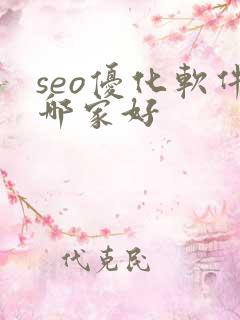 seo优化软件哪家好