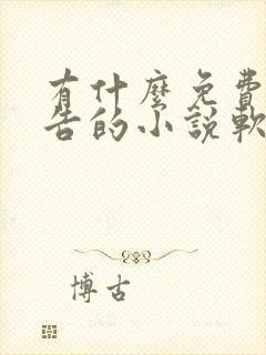 有什么免费无广告的小说软件