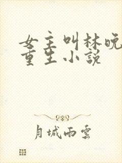 女主叫林晚晚的重生小说