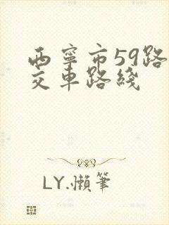 西宁市59路公交车路线