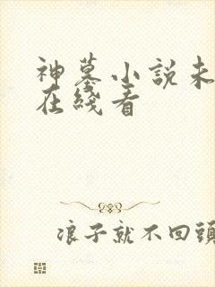 神墓小说未删减在线看