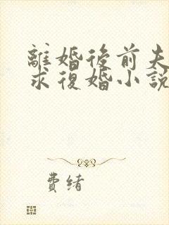 离婚后前夫哭着求复婚小说免费阅读