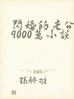 闪婚的老公给了9000万小说