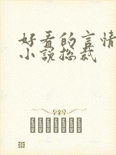 好看的言情甜宠小说总裁