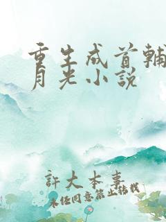 重生成首辅的黑月光小说