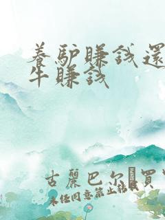 养驴赚钱还是养牛赚钱