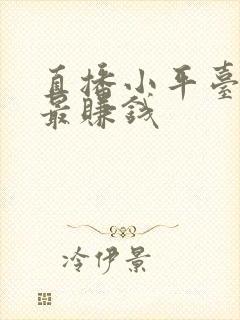 直播小平台哪个最赚钱