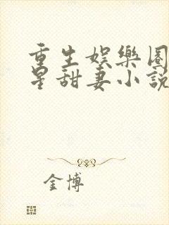 重生娱乐圈之巨星甜妻小说