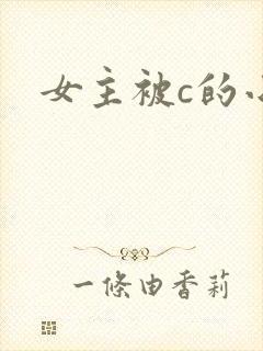 女主被c的小说