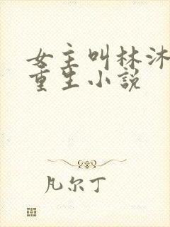 女主叫林沐瑶的重生小说