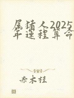 属猪人2025年运程算命网