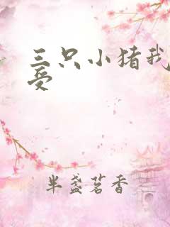 三只小猪我的感受