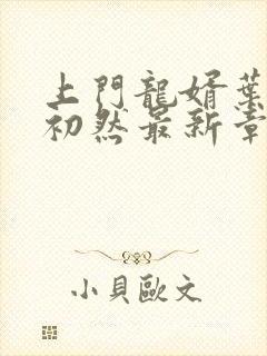 上门龙婿叶辰萧初然最新章节列表