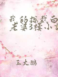 我的总裁白富美老婆3楼小说免费版