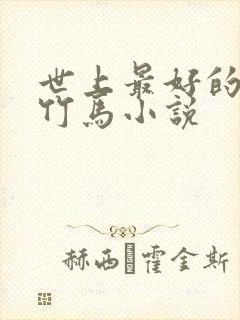 世上最好的青梅竹马小说