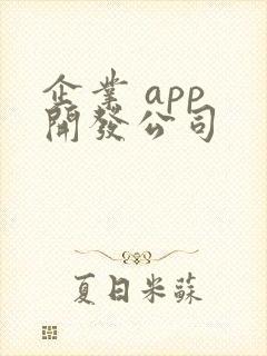 企业 app 开发公司