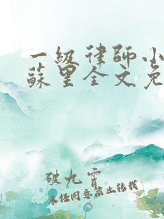 一级律师小说木苏里全文免费阅读