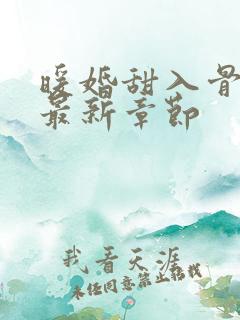 暖婚甜入骨小说最新章节