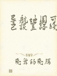 导航地图可以自己设置路线吗