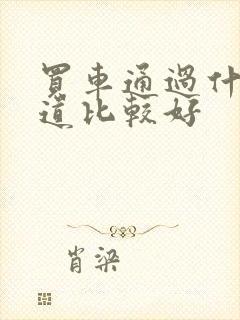 买车通过什么渠道比较好