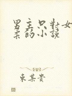 男主只对女主温柔的小说