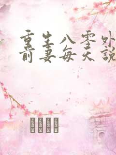 重生八零外交官前妻每天说对不起