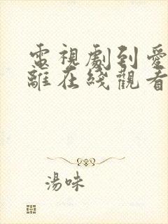 电视剧到爱的距离在线观看