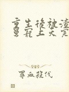 重生后被渣男舅舅宠上天完整版