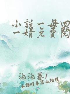 小说一母四女共一婿免费阅读